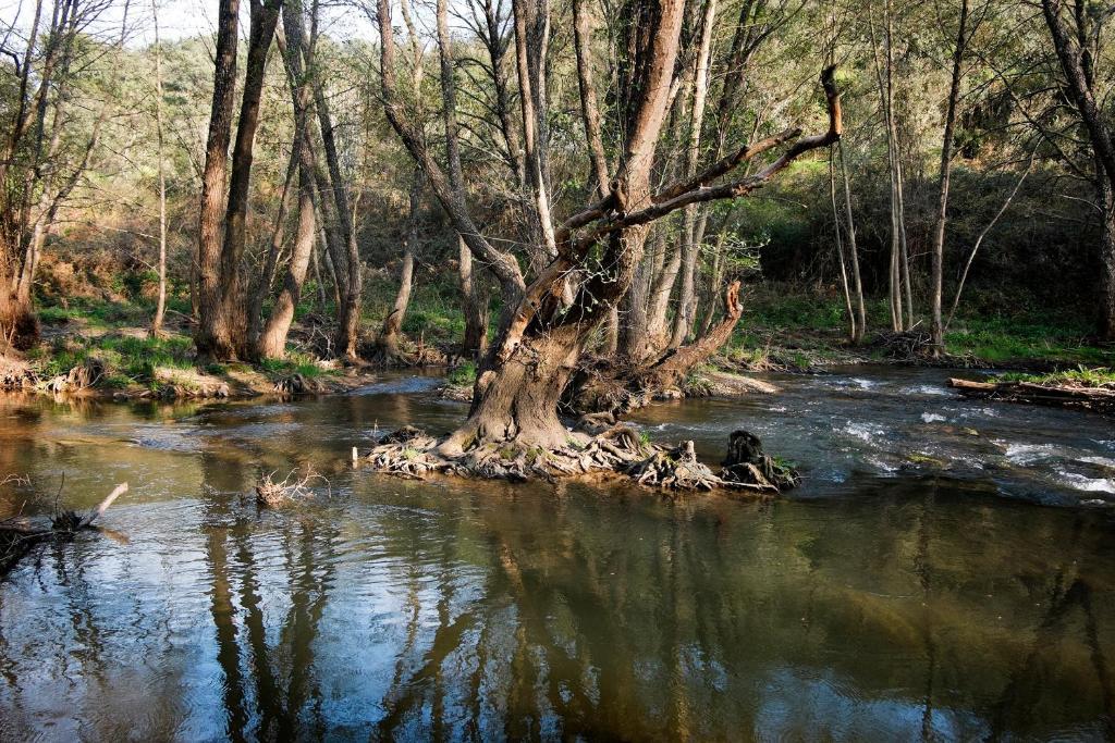 Apartamento El Molino Del Corcho Cazalla de la Sierra