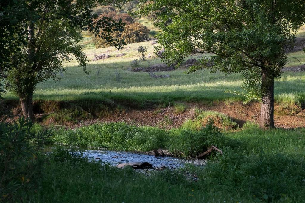 El Molino Del Corcho * Cazalla de la Sierra