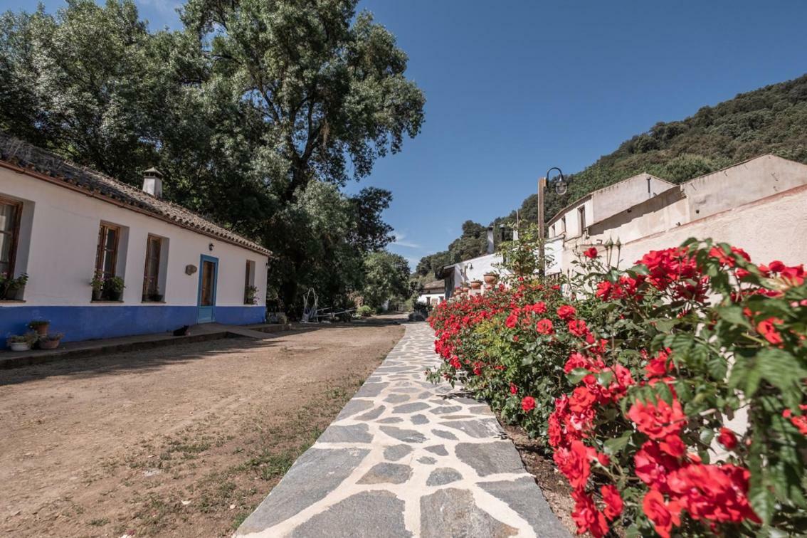 El Molino Del Corcho *